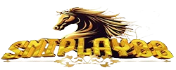 lognrsniplay88.com