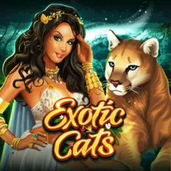 Exotic Cats - SNIPLAY88