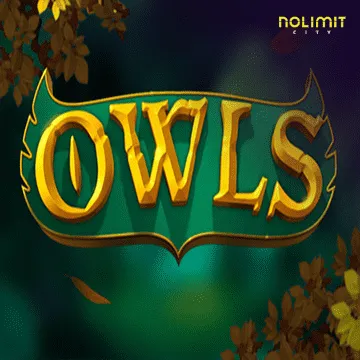 Owls - SNIPLAY88