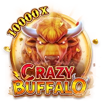 CRAZY BUFFALO - SNIPLAY88