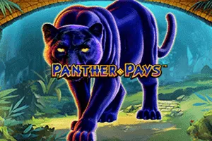 Playtech : Panther Pays - SNIPLAY88