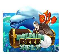 Dolphin Reef - SNIPLAY88