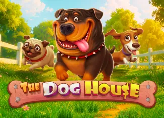 The Dog House - SNIPLAY88